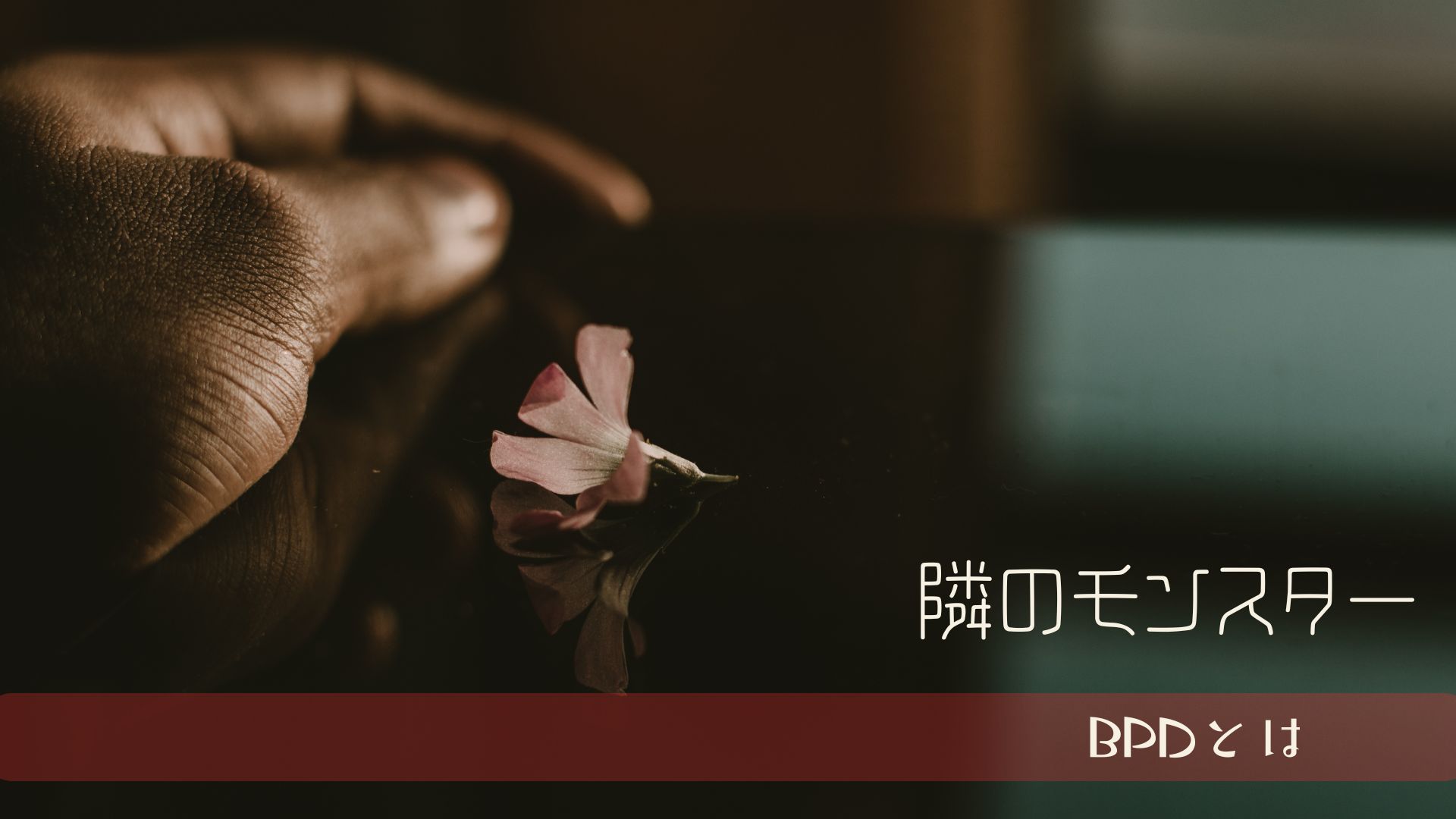 境界性と他の人格障害の違い