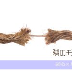 自傷行為や示唆の裏にある本当の意味